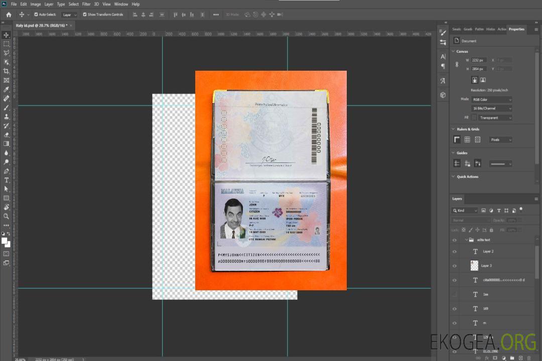 Aperçu de la photo du passeport malaisien (2017-présent) template
